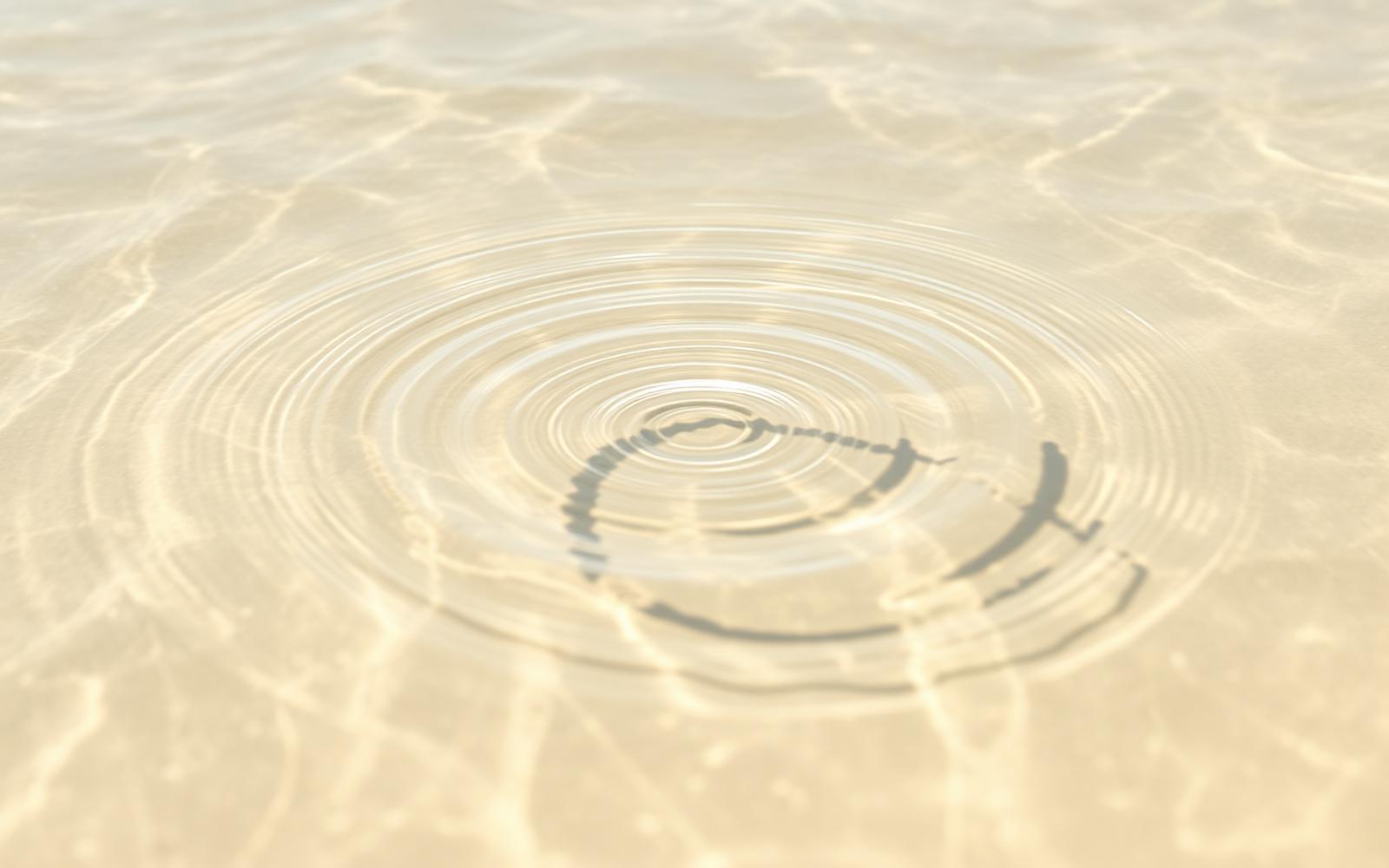 Gentle circular ripple spreading across sunlit shallow water